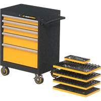 Mechanics Tool Set in Modular Foam Trays with Storage Unit, 247 Pieces Superchem Industries
