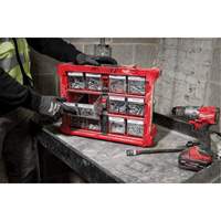 Organisateur PACKOUT &agrave; bac inclinable, 15-1/5" x 19-7/10" x 6-7/10", Noir/Rouge Superchem Industries