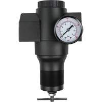 Aluminum Regulator, 1-1/2" NPT, 300 psi Max. PSI, In Line Superchem Industries