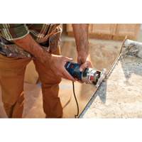 Colt Electronic Variable-Speed Palm Router Superchem Industries