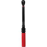 Torque Wrench, Click, 3/8" Square Drive, 20 - 100 in-lbs/27.1 - 135.6 N.m Superchem Industries