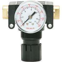 MODULAIR 200 Acetal Piston Regulator, 1/4" NPT, 150 PSI Max. PSI, In Line/Modular Superchem Industries