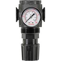 MODULAIR 300 Zinc Diaphragm Regulator, 3/8" NPT, 300 psi Max. PSI, In Line/Modular Superchem Industries