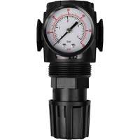 MODULAIR 300 Compressed Air Regulator, 1/2" NPT, 300 psi Max. PSI, In Line/Modular Superchem Industries