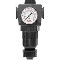 MODULAIR 400 Zinc Diaphragm Regulator, 1/2" NPT, 300 psi Max. PSI, In Line/Modular Superchem Industries