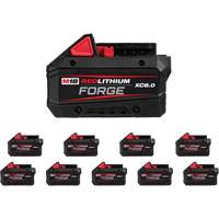 Bloc-pile REDLITHIUM FORGE XC8.0, Lithium-ion, 18 V, 8 Ah Superchem Industries