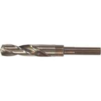 Forets &agrave; queue SST+, 49/64", Acier rapide, Cannelure 3-1/8", Pointe de 135° Superchem Industries