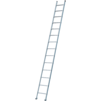 Industrial Heavy-Duty Extension/Straight Ladders, 8', Aluminum, 300 lbs., CSA Grade 1A Superchem Industries