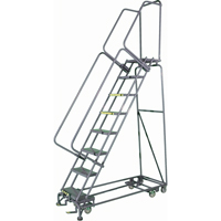 All Directional Ladders, 6 Steps, 24" Step Width, 60" Platform Height, Steel Superchem Industries