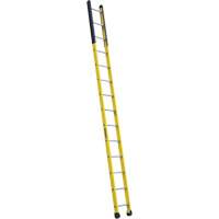 Single Manhole Ladder, 14', Fibreglass, 375 lbs., CSA Grade 1AA Superchem Industries