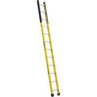 Single Manhole Ladder, 12', Fibreglass, 375 lbs., CSA Grade 1AA Superchem Industries
