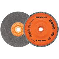Blendex U Finishing Cup Disc, 5" Dia., Fine Grit, Silicon Carbide Superchem Industries