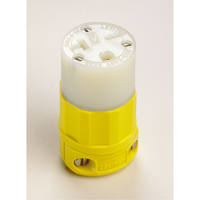 2-Pole 3-Wire Grounding Straight Blade Connector, 5-20P, Nylon Superchem Industries