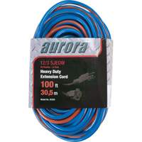 TPE-Rubber Extension Cord With Light Indicator, All-Weather, SJEOW, 12/3 AWG, 15 A, 100' Superchem Industries
