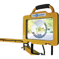 Heavy-Duty Dock Light, 40" Arm, 38 W, LED Lamp, Metal Superchem Industries