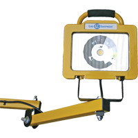 Heavy-Duty Dock Light, 40" Arm, 38 W, LED Lamp, Metal Superchem Industries