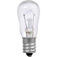 S6 Incandescent Bulb Superchem Industries