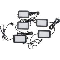 Chaîne de baladeuses DEL, 5 Lumi&egrave;res, 50' lo, Boîtier en Plastique Superchem Industries