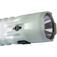 Lampe de poche, DEL, 378 lumens, Piles AA Superchem Industries