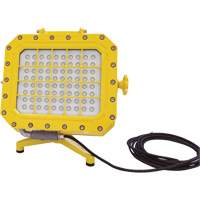Explosion Proof Floodlight with Floor Stand, LED, 40 W, 5600 Lumens, Aluminum Housing Superchem Industries