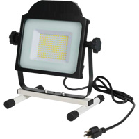 Floodlight, LED, 100 W, 10000 Lumens Superchem Industries