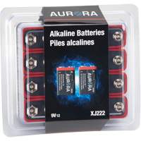 Piles alcalines industrielles, 9 V Superchem Industries