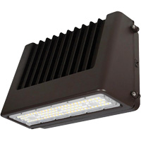 Wall Pack Light Fixture, LED, 120 V, 80 W, 6.5" H x 9.3" W x 14.4" D Superchem Industries
