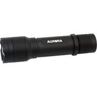 Lampe de poche IP67, DEL, 2000 lumens, Piles Rechargeable Superchem Industries