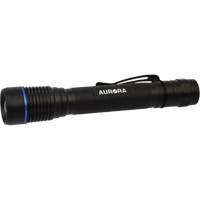 Lampe de poche IPX7, DEL, 250 lumens, Piles AA Superchem Industries