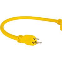 Adaptateur de rallonge d'alimentation, Ext&eacute;rieur, STOW, AWG 12/3, 15 A, 3 prise(s), 2' Superchem Industries