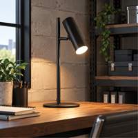 Metal Table Lamp with FR Acrylic Diffuser, 6 W, LED, 19-3/4" Neck, Black Superchem Industries