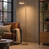 Aged Brass Floor Lamp with Metal Base Superchem Industries