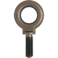 Eye Bolt, 3/4" Dia., 1" L, Uncoated Natural Finish, 650 lbs. (0.325 tons) Capacity YC119 | Superchem Industries